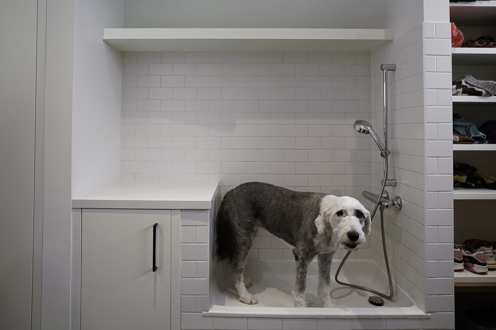 Laundry & Mudrooms project 8