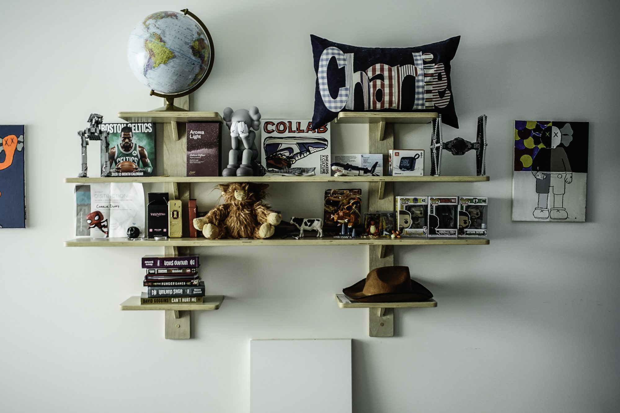 Living Spaces & Built-Ins project 3
