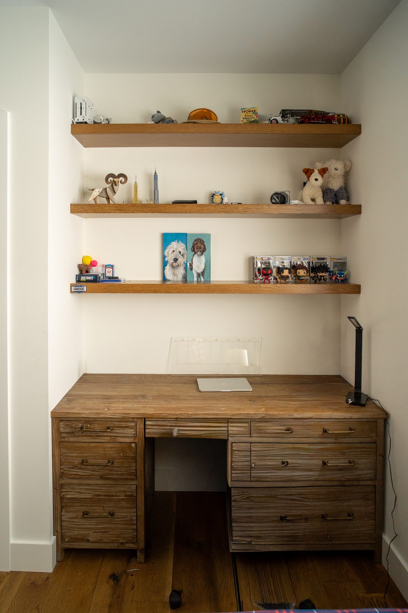 Living Spaces & Built-Ins project 4