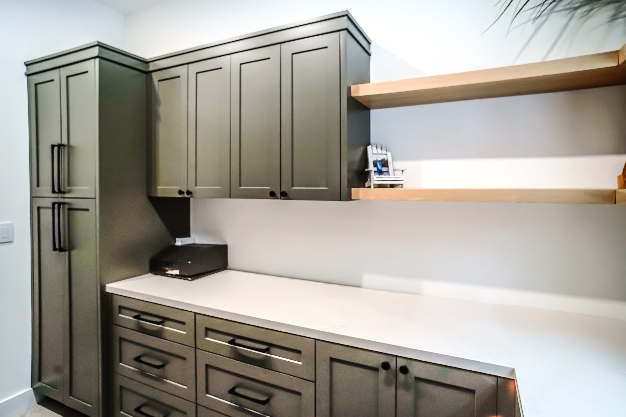 Living Spaces & Built-Ins project 6